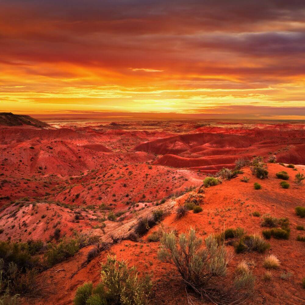 grand canyon daytripper gallery 9